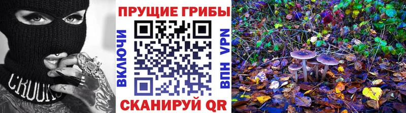 Галлюциногенные грибы MAGIC MUSHROOMS  Купить где  Нижний Ломов 